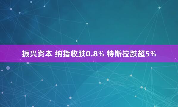 振兴资本 纳指收跌0.8% 特斯拉跌超5%