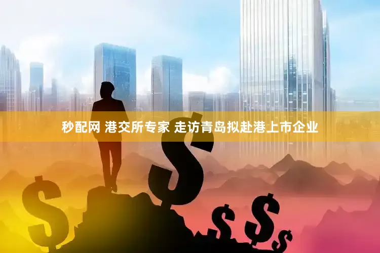 秒配网 港交所专家 走访青岛拟赴港上市企业