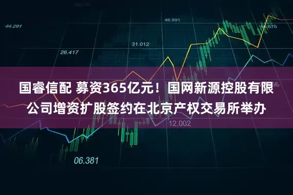 国睿信配 募资365亿元！国网新源控股有限公司增资扩股签约在北京产权交易所举办