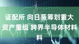 证配所 向日葵筹划重大资产重组 跨界半导体材料